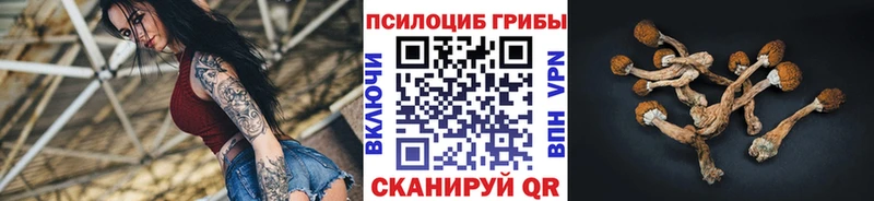 Псилоцибиновые грибы MAGIC MUSHROOMS  Туапсе 
